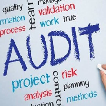 System Audit Services